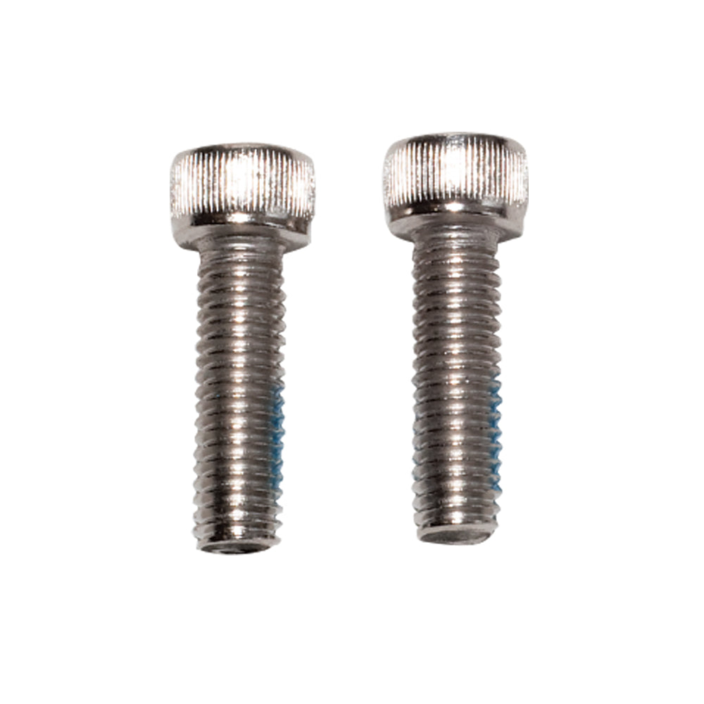 M6 X 20mm bolts (2)