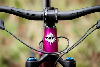 Yeti Cycles SB140 C-Series C3 Factory 29 Bike