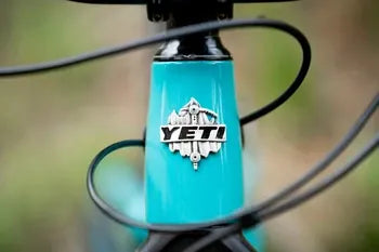 Yeti Cycles SB160 C-Series C3 Factory 29 Bike