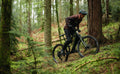 Whyte T-160 RS