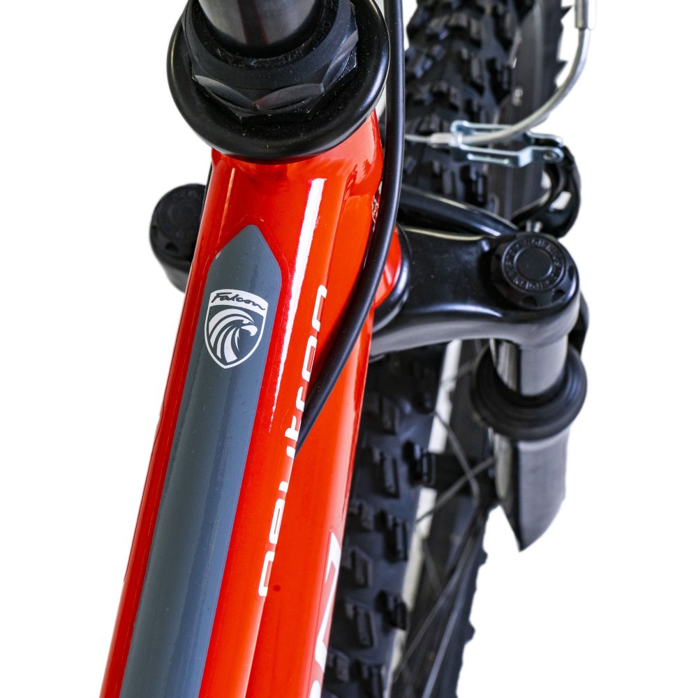 Falcon - Neutron 24" Kids Mountain Bike