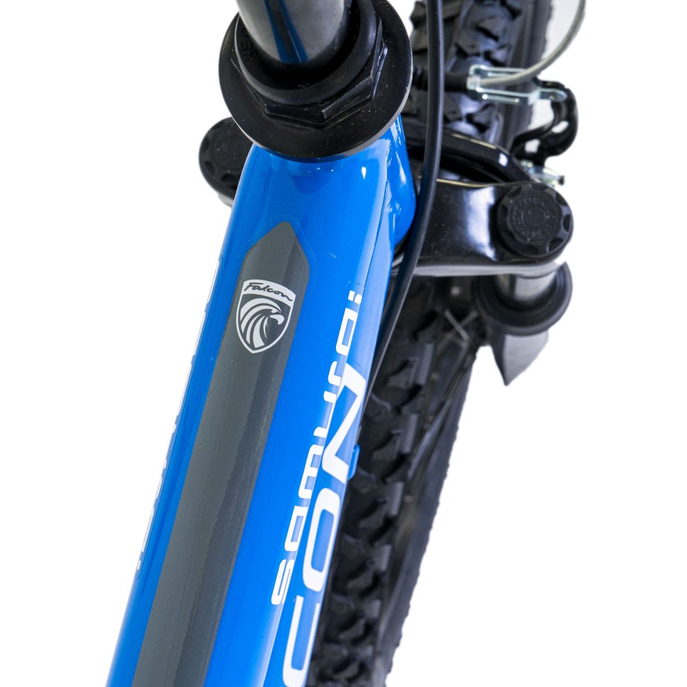 Falcon - Samurai 20" Kids Mountain Bike